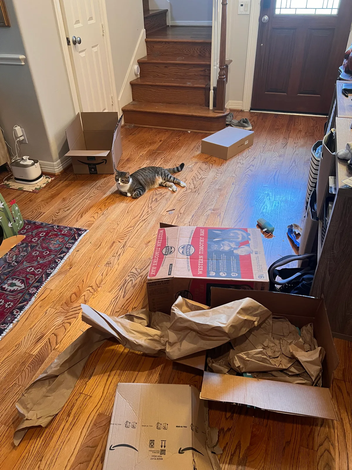 Entryway before cleaning